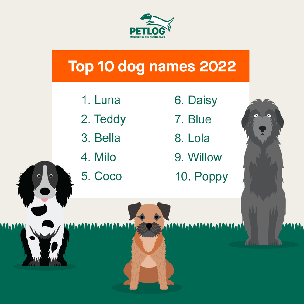 How to name your dog | Petlog