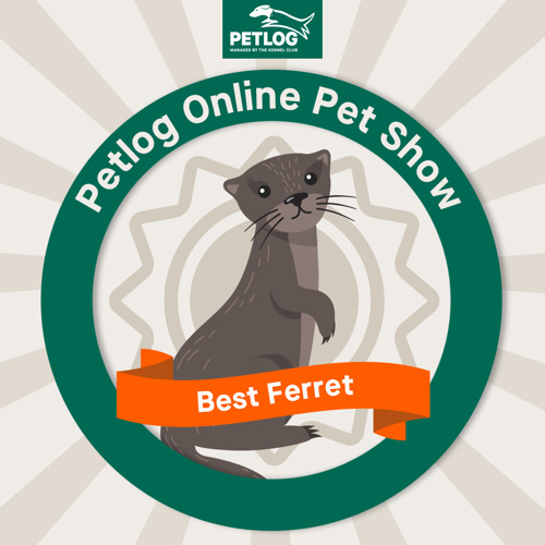 Online Pet show Petlog