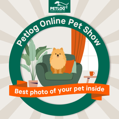 Online Pet show Petlog