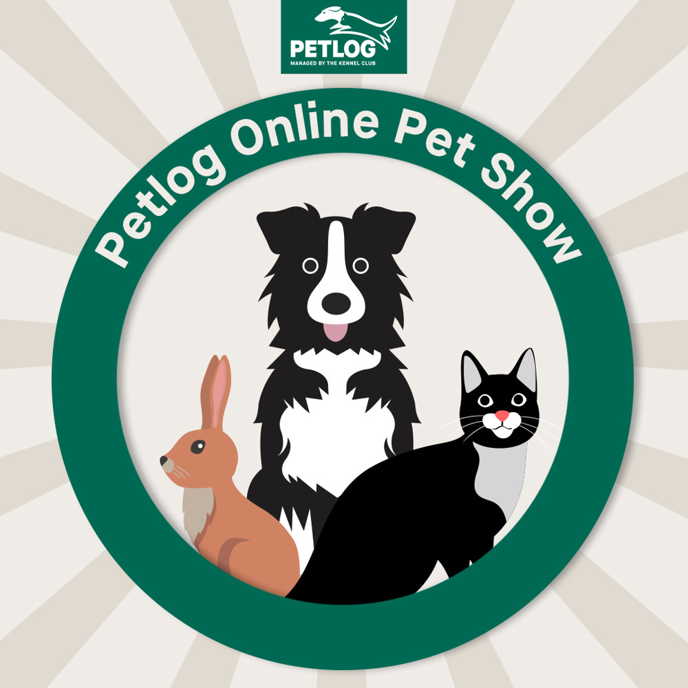 Online Pet show | Petlog
