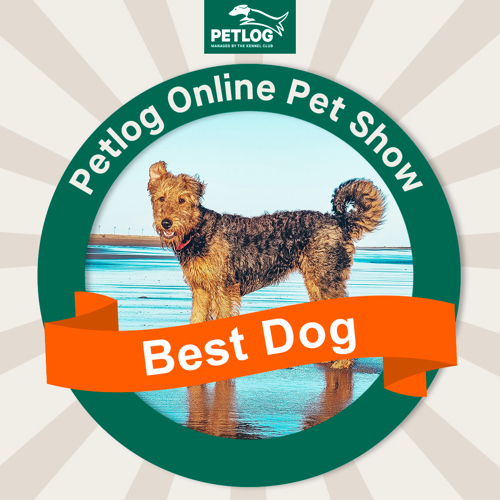 Online Pet show Petlog
