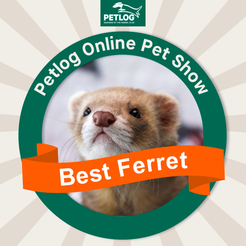 Online Pet show Petlog